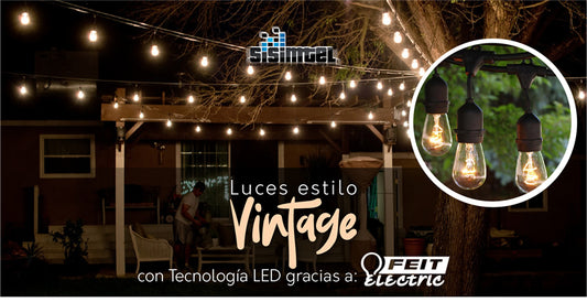 Newsletter Febrero 2020