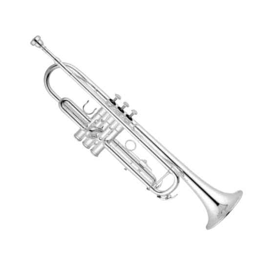 trompeta doble llave bb niquelada