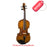 violin estudiante 3/4 antiguo con estuche, mto